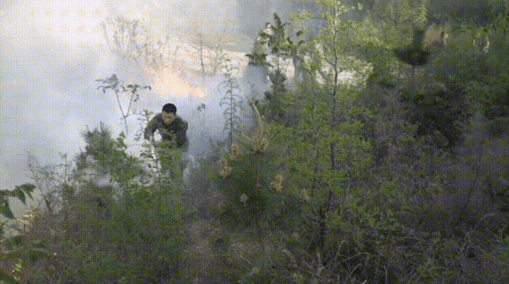 c93335d7c5ab36254f1c95c455608685.gif