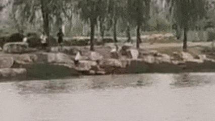 d8b546f7955e355c3e35bba33bd099a7.jpg